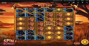 wild-cats-free-spins